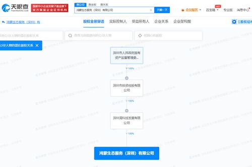 國資入局鴻蒙生態 深投控成立專業服務公司，強化數據處理與存儲能力