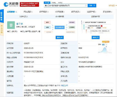 小米落子重慶，成立產融大數據公司，布局區(qū)塊鏈與數據處理服務