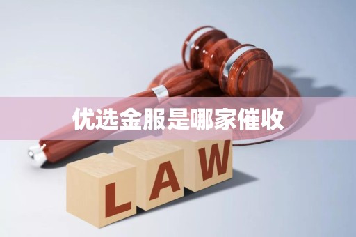 優選金服的催收機制與其在金融機構外包服務中的角色
