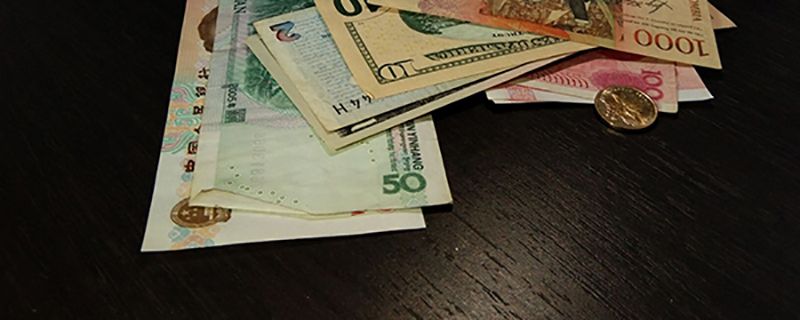 普蘭金融？真相探究 金融信息技術外包的謎與人參米的類比